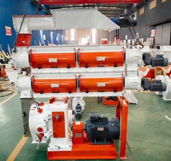 Máquina para pellets de alimentación