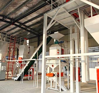 Planta de pellets de alimentación avícola