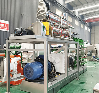 SW120 Máquina extrusora de alimentación de pescado DSP