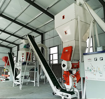 Planta de producción de pellets de pienso para animales